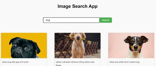 Image Search App Preview
